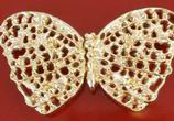 Buckle KQ1194